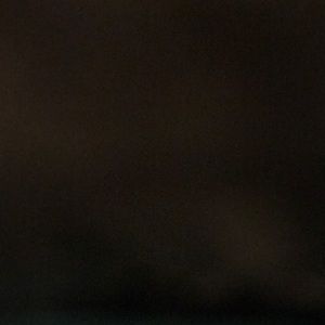 Meet your Posher, Noelani